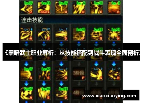 《黑暗武士职业解析：从技能搭配到战斗表现全面剖析》