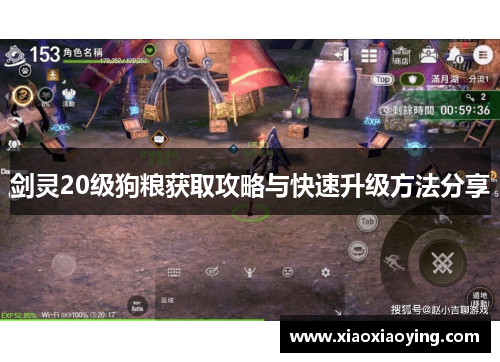 剑灵20级狗粮获取攻略与快速升级方法分享